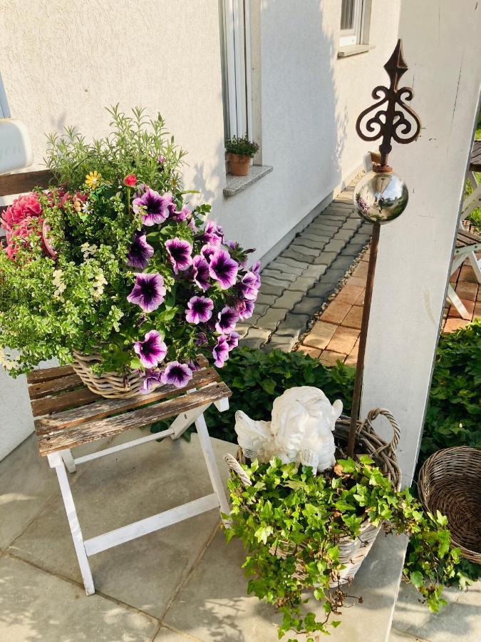 Das Ferienhaus-Zurueck Zum Ursprung Güssing Buitenkant foto
